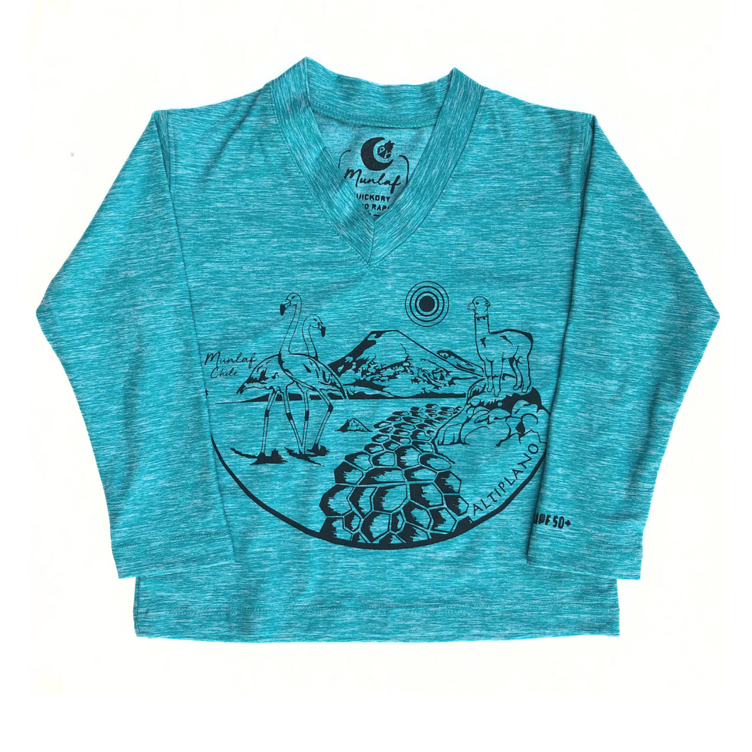 Polera turquesa cuello V manga larga
